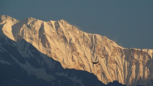 Annapurna Flight Sightseeing Pokhara